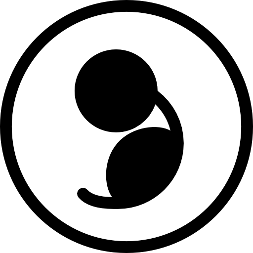 Human Fetus